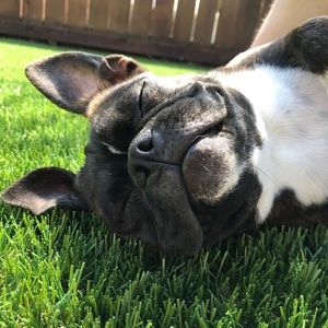 Meet your Posher, Elana